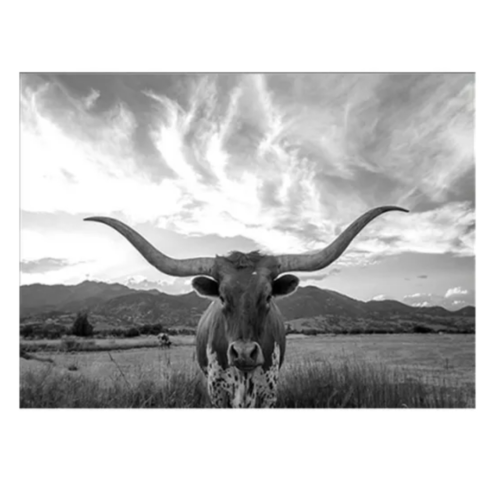 Longhorn Canvas Print
